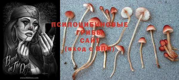 круглые Белоозёрский