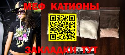 индика Гатчина