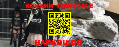 индика Гатчина