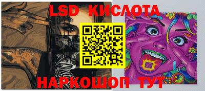 индика Гатчина