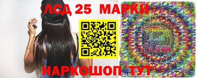 индика Гатчина