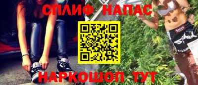 индика Гатчина