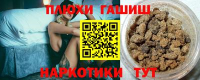 индика Гатчина