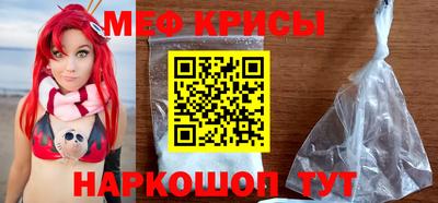 индика Гатчина