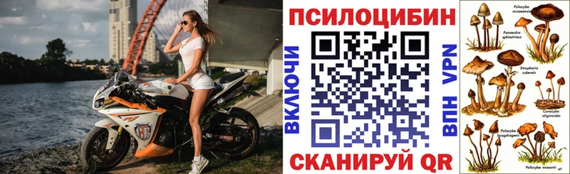 купить наркоту  Коммунар  Галлюциногенные грибы Psilocybe 