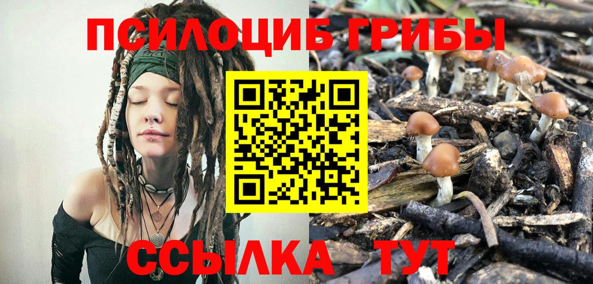 Псилоцибиновые грибы мицелий  Вход с VPN  Коммунар 