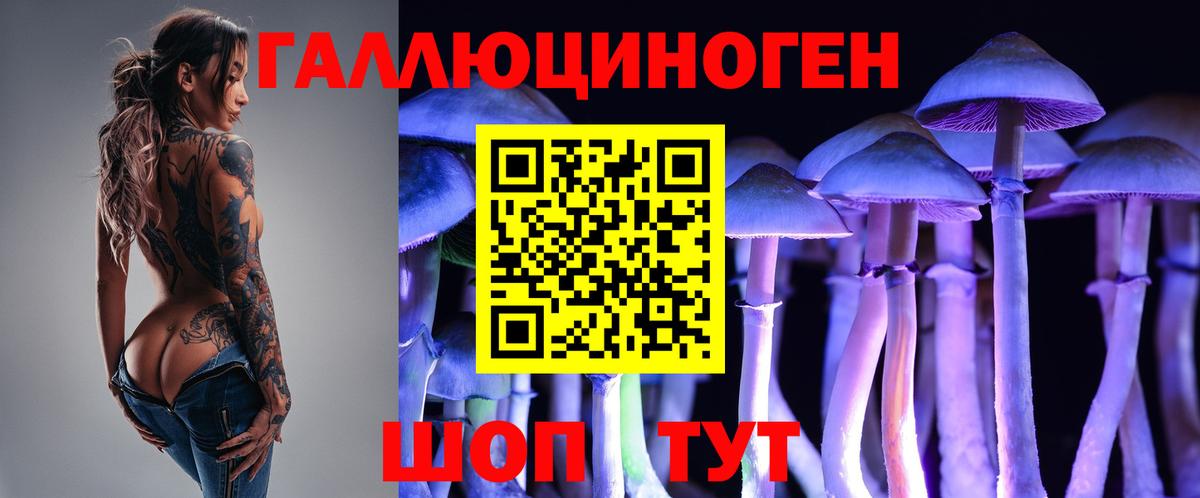 Псилоцибиновые грибы MAGIC MUSHROOMS Коммунар